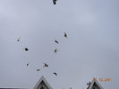 DSCN5178
