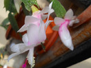 DSCN2213