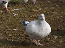 IMG_5957