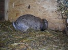 DSCN0857