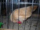 Picture 198