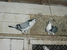 Picture 349