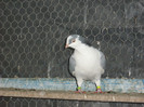 Picture 355