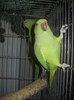 Picture 328