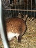 Picture 3046