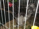 Picture 3062