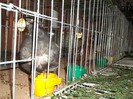 Picture 3074
