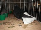 Picture 3081