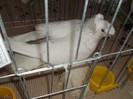 Picture 3086