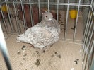 Picture 3089