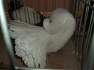 Picture 3094