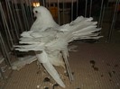 Picture 3106