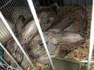 Picture 3145
