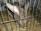 Picture 3331