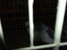Picture 3341