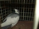 Picture 3342