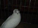 Picture 3344
