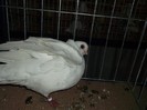 Picture 3346