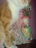 DSC02520