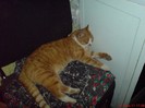 DSC02635