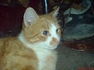 DSC02794