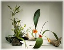 ikebana07