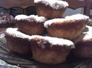 13-12-11_muffins cu merisoare si cocos