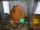 P1010864