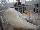 P1010886