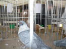 P1010898