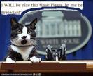 650x1600_funny_pictures_cat_makes_political_statement[1]