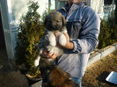 Berta