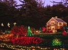 Holiday Lights, Shore Acres State Park, Oregon