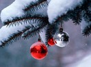 Season\'s Blessings