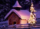 Seasons Greetings