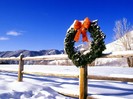 Snowy Wreath, Sun Valley, Indiana