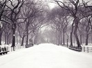 Statuary Walk, Central Park, New York City, New York