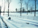 Winter_landscape