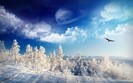 zim_skazka (4)