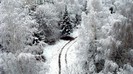 zim_skazka (5)