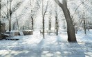 zim_skazka (10)