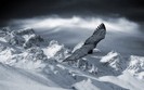 zim_skazka (11)