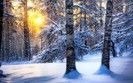zim_skazka (13)