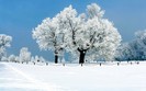 zim_skazka (29)
