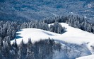 zim_skazka (37)