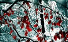 zim_skazka (40)