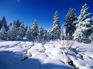 scl.winter (25)