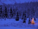 Christmas (48)