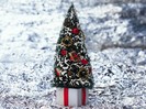 Christmas (94)