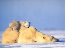 kb_NWF_TOW-2001_02